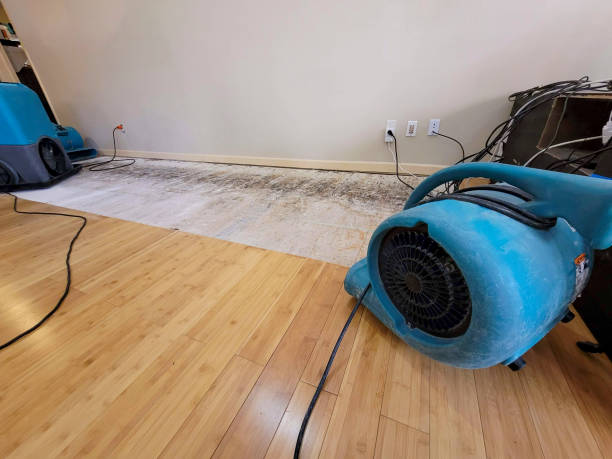 Professional Water Damage Repair technician working in Blountsville, AL